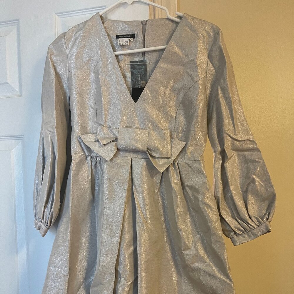 Silver Dress with V-neck and bow